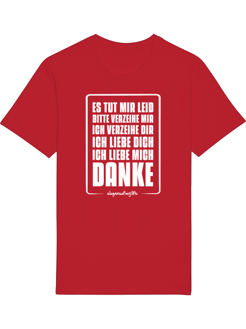 T-Shirt "Verzeihe mir..."